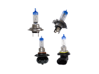 Warm Halogen Globes Loose